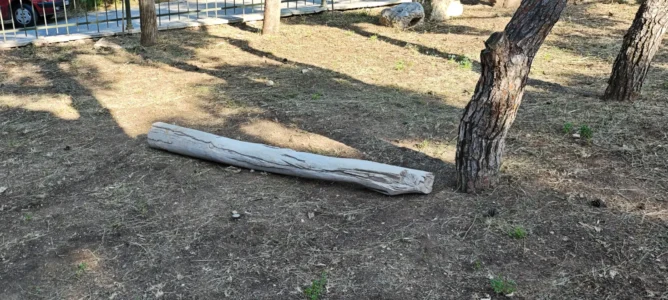 1780239344365